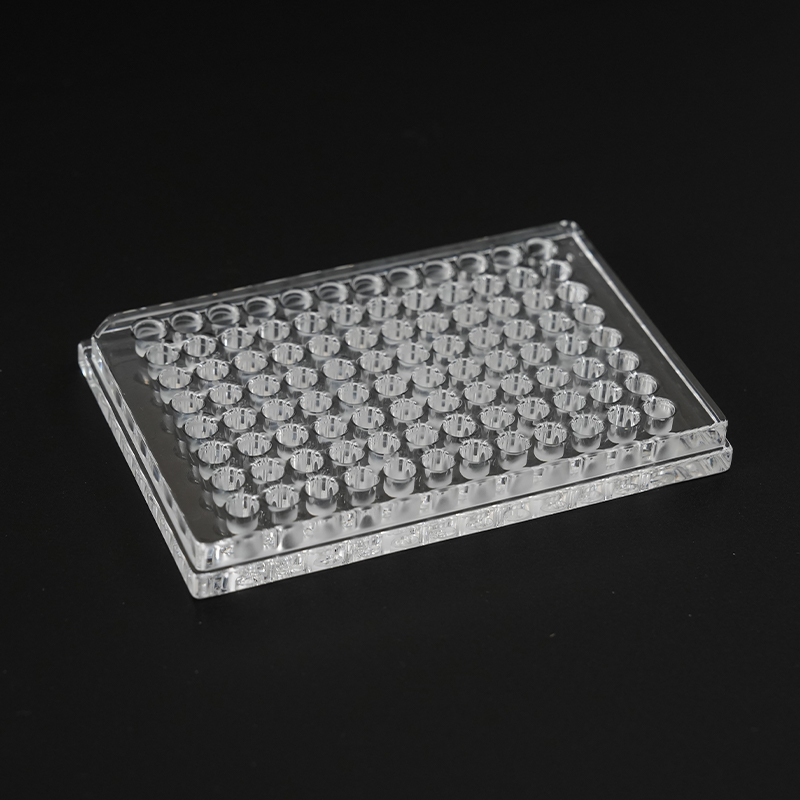 Piring Elisa